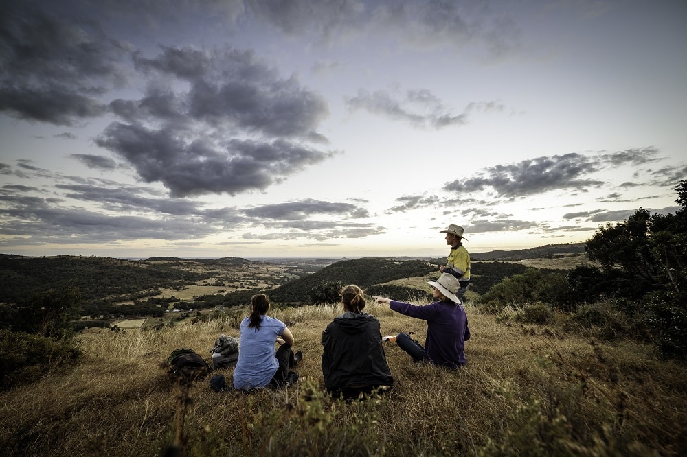 Western Downs storytelling project | Storyselling: why stories drive sales | Image by Alex Coppo