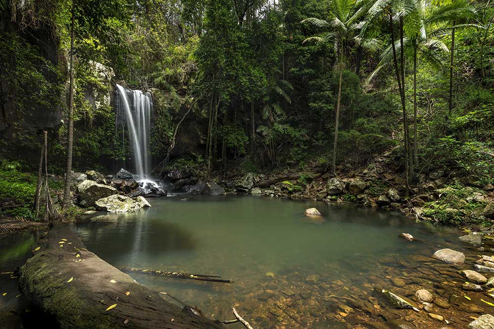 Content marketing agency_Business New Year's Resolutions_Get organised_Mt Tamborine waterfall