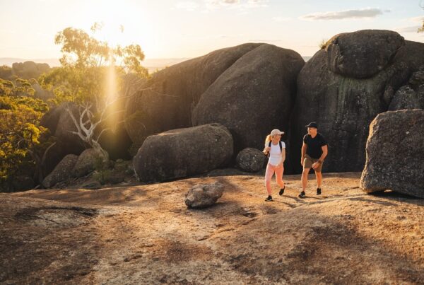 Ballandean Girraween